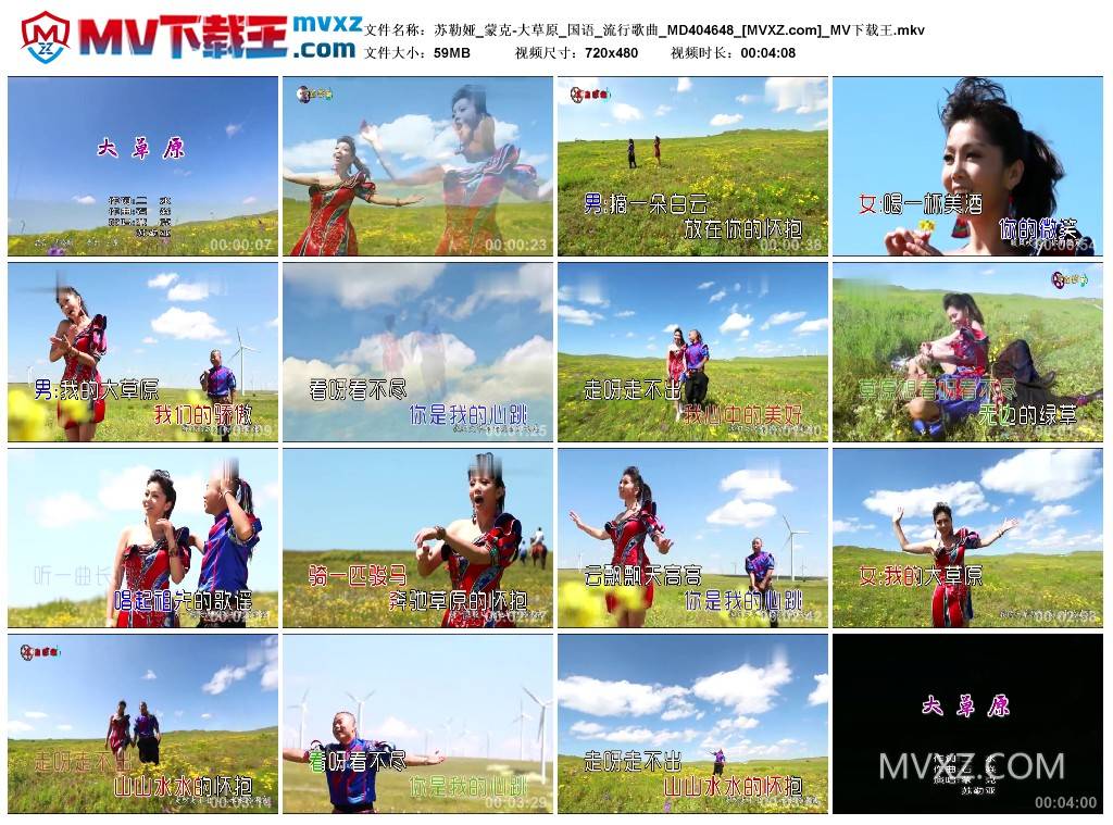 苏勒娅_蒙克-大草原_国语_流行歌曲_MD404648